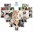 thumbnail image 4 of Collier pour Chien en Cuir Réfléchissant. avec Boucle en Alliage, Robuste, Imperméable, Collier Classique en Cuir pour Animal de Compagnie. Convient aux Grands, 4 of 5