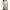 Khaki, variant on Baqcunre Sweaters For Women Women'S V Neck Cardigan Sweater Plus Jacket Solid Color Knitted Sweater Womens Tops Cardigan For Women Navy M