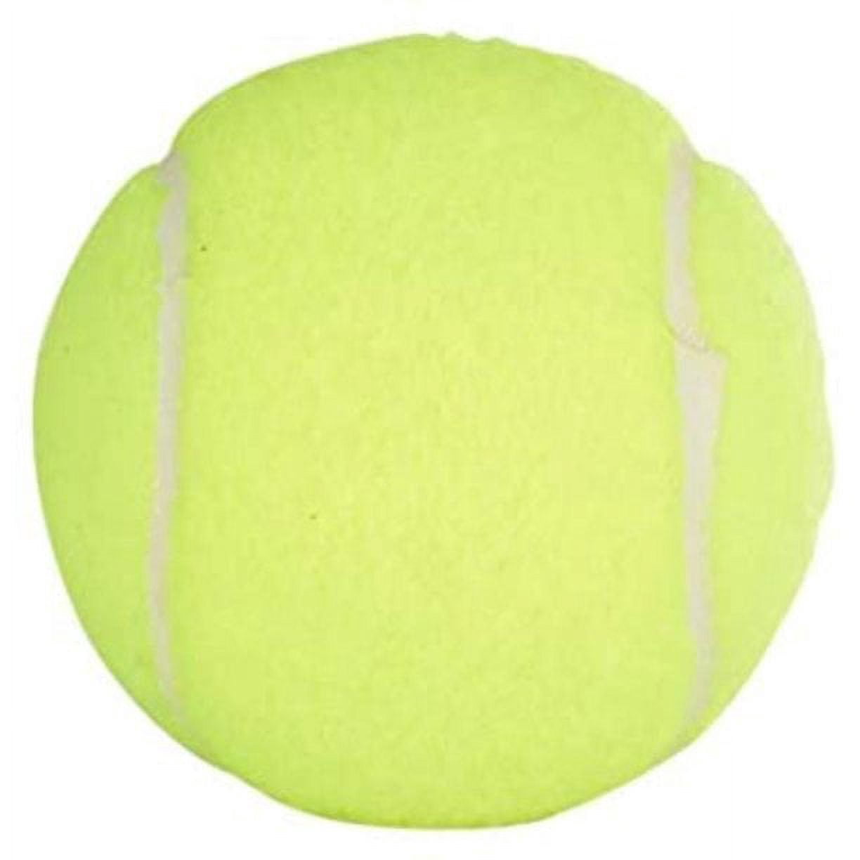 Penn Championship Extra Duty Tennis Ball Case Pack ( 12 Cans, 36 Balls)