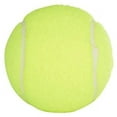 Penn Championship Extra Duty Tennis Balls for Hard Court, Case Pack (12 Cans, 36 Balls