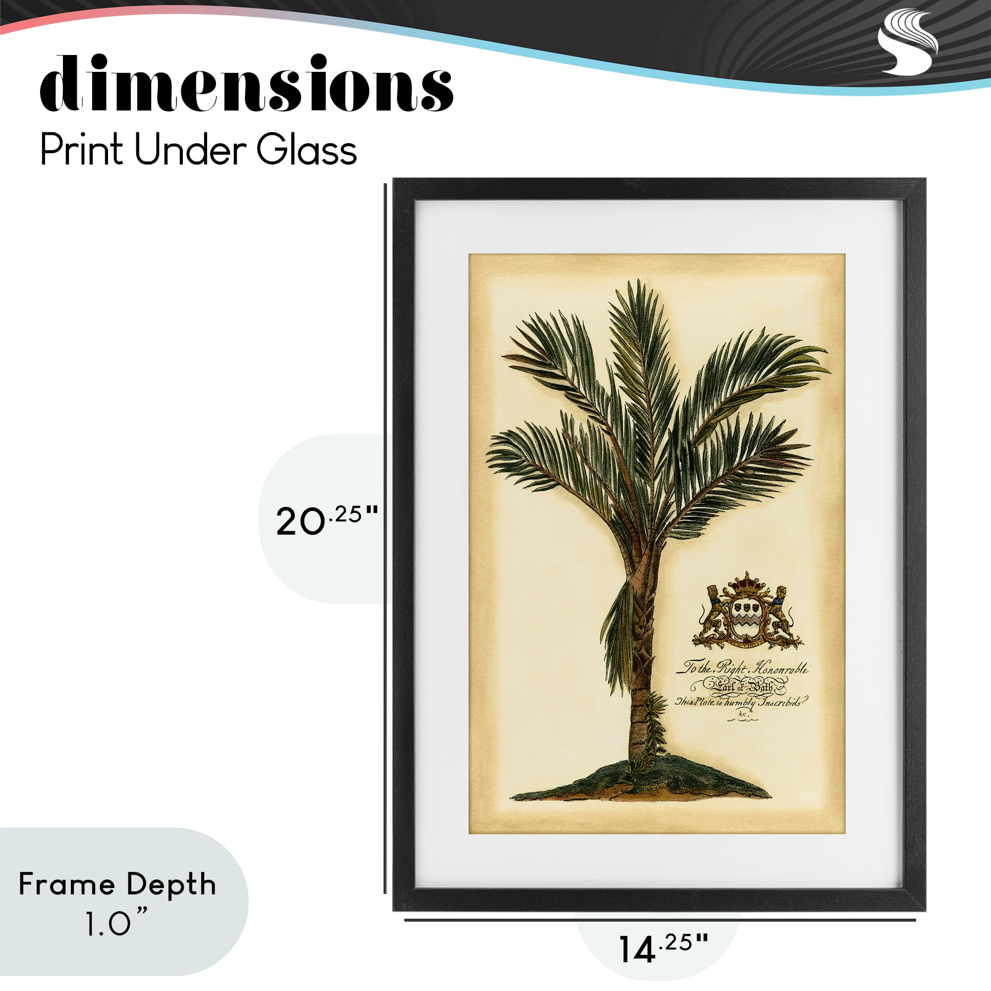 Stupell Industries Vintage Colonial Palm Black Framed Print Under Glass, design by Vision Studio