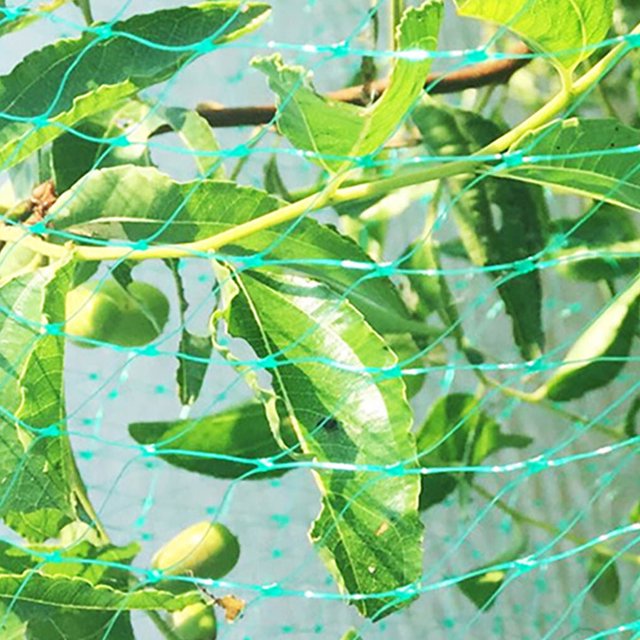Anti-bird Net Garden Fruit Farm Anti Bird anti bird mesh net Mesh Net Orchard PE Netting Plants Protection, 4x10m