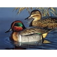 thumbnail image 1 of Tile Mural Kitchen Backsplash - Green Wing Teal Couple-CF - by Cynthie Fisher, 1 of 1