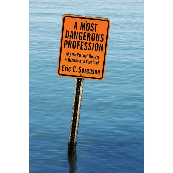 A Most Dangerous Profession (Hardcover)