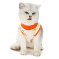 thumbnail image 4 of Traje de recuperación quirúrgica para gatos, gatito transpirable después de la cirugía, use una camisa para mascotas para heridas abdominales, enfermedades de la piel, vendajes profesionales con, 4 of 7