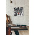 thumbnail image 2 of Epic Graffiti 'Thrill of the Tiger' Canvas Wall Art, 26"x26", 2 of 2