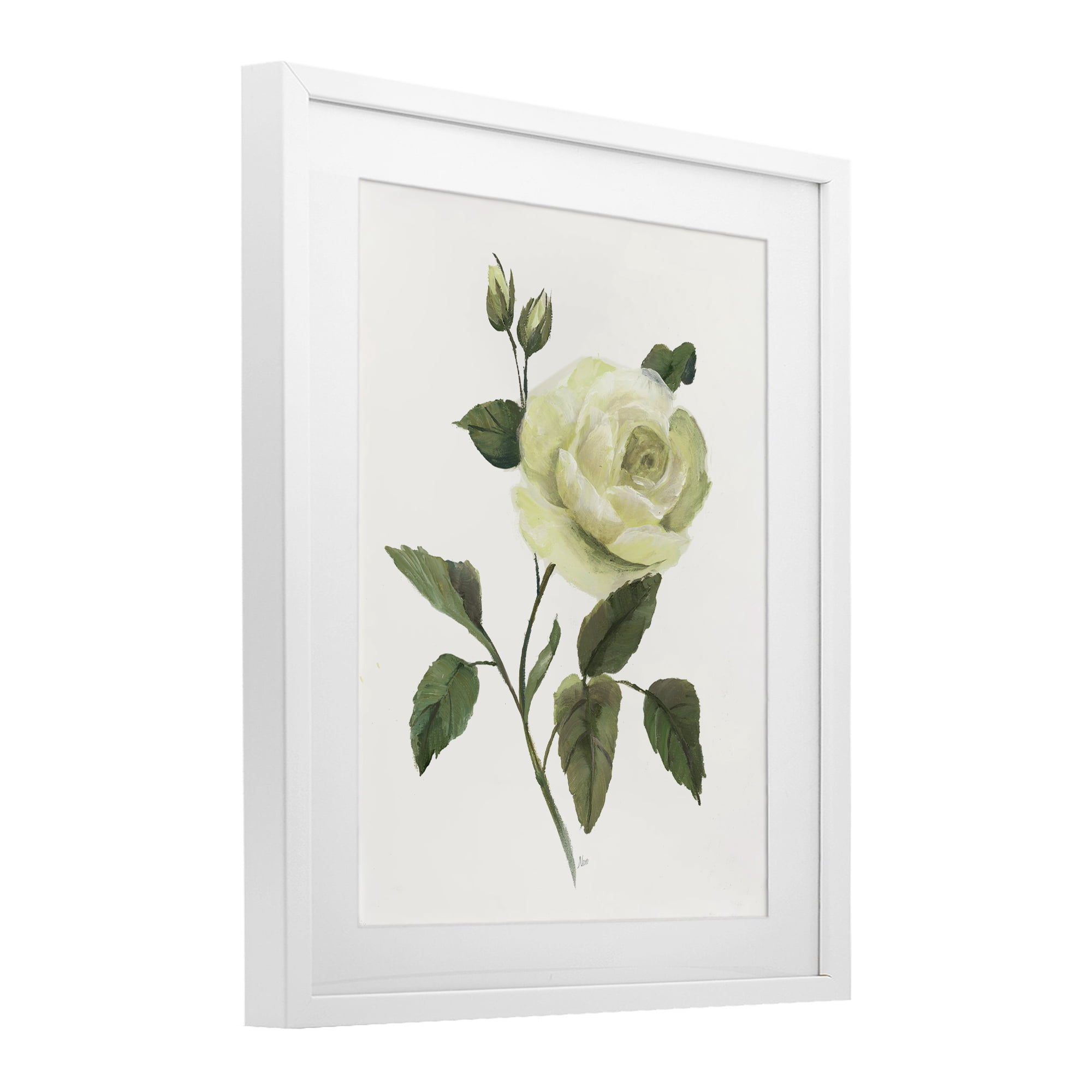 Stupell Industries Cream Garden Rose with Buds White Framed Print Under Glass, design by Nan