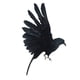 thumbnail image 5 of Aves Artificiales Decorativas Colco Adornos de Aves Decorativas, 5 of 8