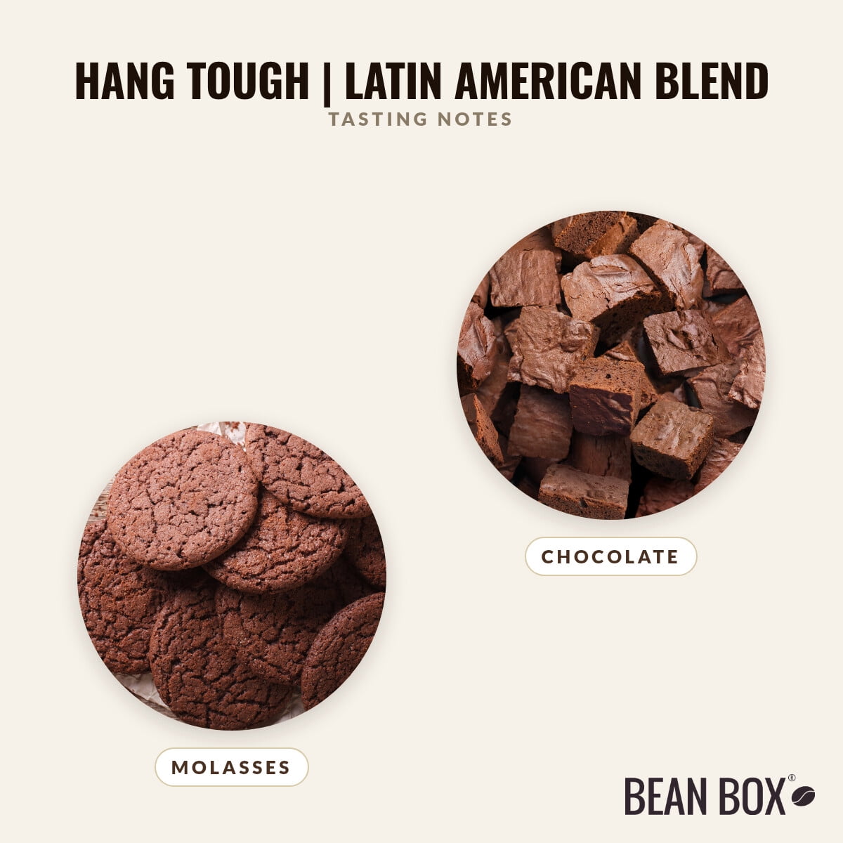 Hang Tough Latin American Blend - Roasted by 8th & Roast Coffee Co. - Whole Bean Coffee - 2lb Bag