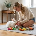 thumbnail image 4 of Guinea Pig Accessories, Rabbit Enrichment toys, Chinchilla toys, Loofah Chews, Carrot Corn Shapes, Apple Sticks, Small Animal Chewing, Random tones, 9 Set, 4 of 5