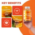 thumbnail image 5 of Vitamatic Sugar Free Vitamin D3 50,000 IU Weekly Supplement - 60 Pectin Based Gummies, 5 of 11