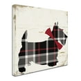 thumbnail image 3 of Trademark Fine Art "Scotty II" Canvas Art by Color Bakery, 3 of 4