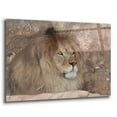 thumbnail image 2 of Epic Art 'Leo the Lion' by Lori Deiter Acrylic Glass Wall Art, 36"x24", 2 of 8