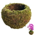 thumbnail image 4 of 6 Inch Decorative Planter With 3 Inch Inner Pot For Bonsai Pots For Home Garden Decor, 4 of 8