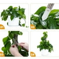 thumbnail image 4 of 4Pcs Plastic Moss Poles Self-Watering Plant Support for Plant Monstera, 4 of 6