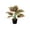 A-A, variant on Artificial Potted Plant for Indoor Decor, 35cm Tall Realistic Green Plant in Pot, Desktop and Shelf Decoration for Living Room and Office, Low Maintenance and Lifelike New Home Gift Idea