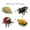 MulticolorC, variant on Iumwxz Home Trends Insect Growth Cycle Ornaments Spider-Star Tarantula Bee Life Stage Model Toys Christmas Gifts home decor christmas clearance outdoors indoor