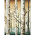 thumbnail image 2 of Pinto, Patricia 25x32 Gold Ornate Wood Framed with Double Matting Museum Art Print Titled - Birch Forest I, 2 of 4
