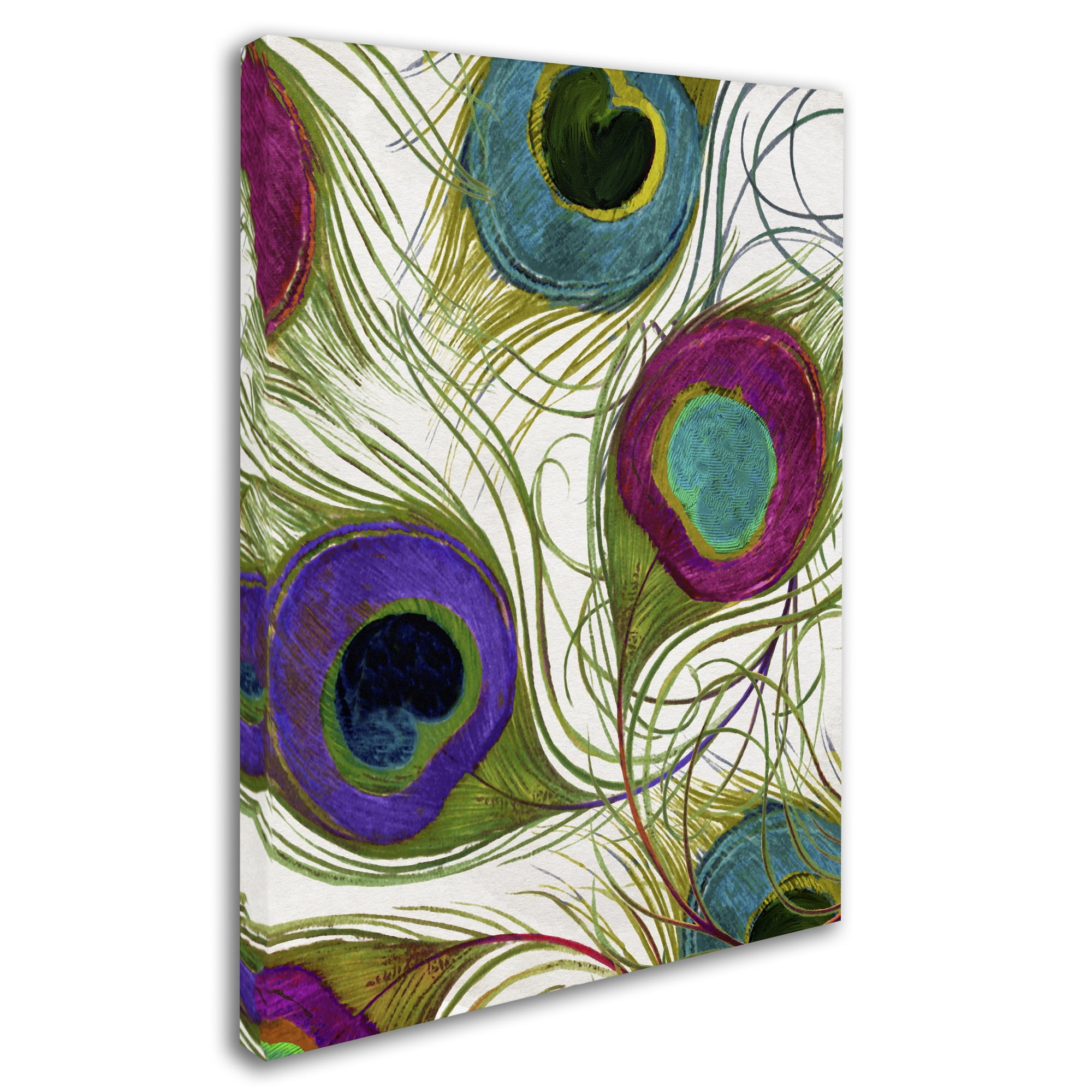 Trademark Fine Art "Peacock Feathers I" Canvas Art by Color Bakery