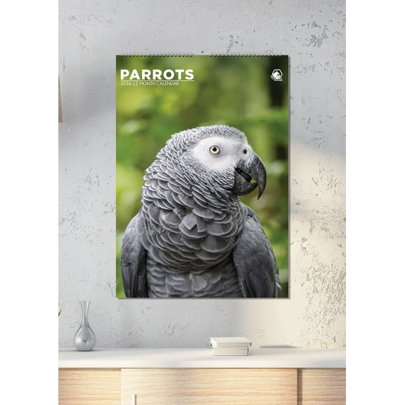 Parrots Calendar 2026