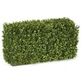 thumbnail image 1 of Autograph Foliages AUV-133000 24 in. x12 in. x 12 in. BOXWOOD HEDGE - TT GREEN, 1 of 1