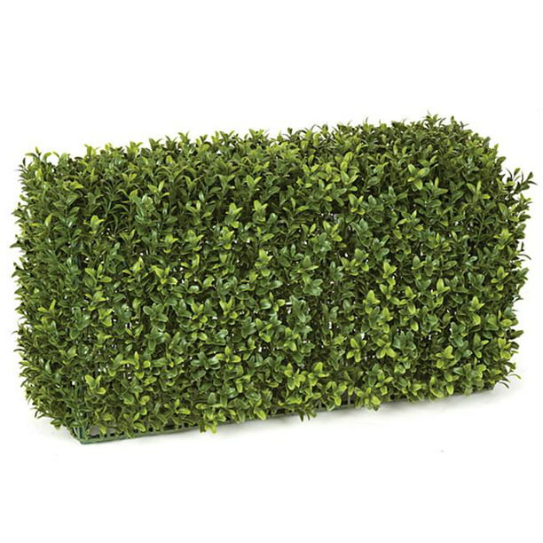Autograph Foliages AUV-133000 24 in. x12 in. x 12 in. BOXWOOD HEDGE ...
