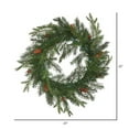 thumbnail image 2 of Vickerman 23" Douglas Fir Artificial Christmas Wreath Unlit, 2 of 2