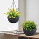 thumbnail image 4 of 2 Macetas Colgantes Grandes para Plantas de Interior y Exterior con Orificios Drenaje Cadena, Redondas, 4 of 6