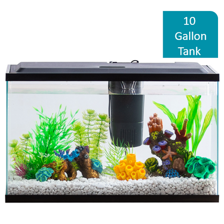 Image result for fish tank