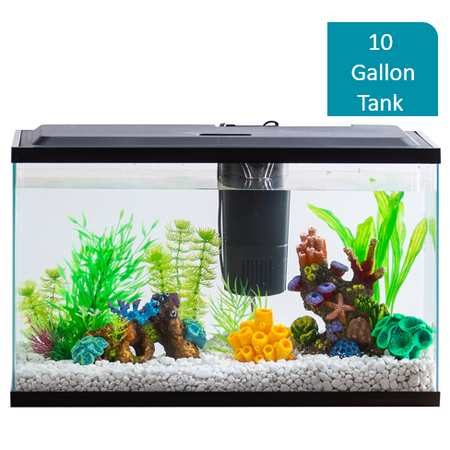 aqua culture 10 gallon