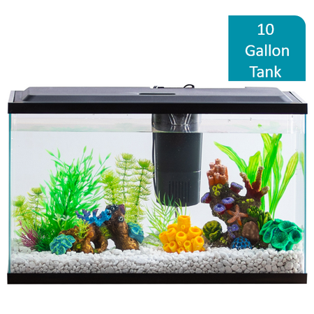 Aqua Culture 10-Gallon Aquarium Starter Kit With LED (Best First Fish Tank)