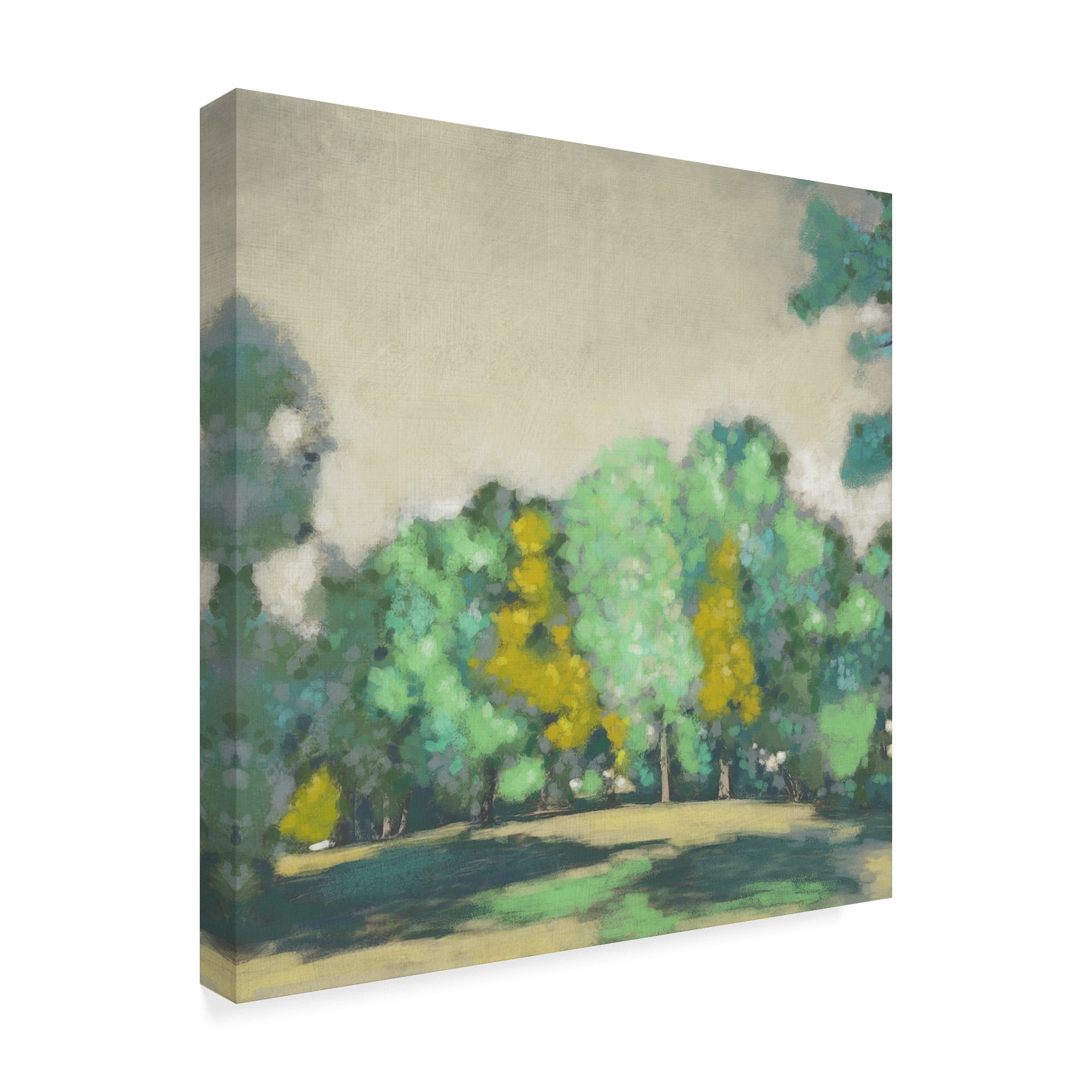 Trademark Fine Art 'Treeline I' Canvas Art by Chariklia Zarris