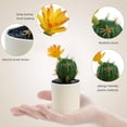 thumbnail image 3 of Macetas de plástico, cactus tropicales artificiales, bonsáis, pequeños adornos creativos, flores artificiales y plantas verdes., 3 of 5