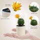 thumbnail image 3 of Macetas de plástico, cactus tropicales artificiales, bonsáis, pequeños adornos creativos, flores artificiales y plantas verdes., 3 of 5