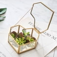 thumbnail image 5 of Rankomu Terrario, Maceta de Cristal en Forma de corazón, contenedores de terrario, Maceta de Mesa Moderna, estantes, Caja de exhibición de decoración, Regalo, 5 of 5