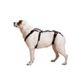 thumbnail image 1 of Arnés para levantamiento de perros Help 'Em Up, soporte para todo el cuerpo, tamaño mediano, 1 of 6