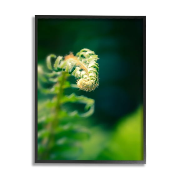 Stupell Fern Leaves Nature Photography Botanical & Floral Photography Black Framed Art Print Wall Art