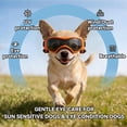 thumbnail image 5 of Dog Goggles, Anti-UV Windproof, Eye Protection for Extra Small Dogs, Riding Hiking, 5 of 6