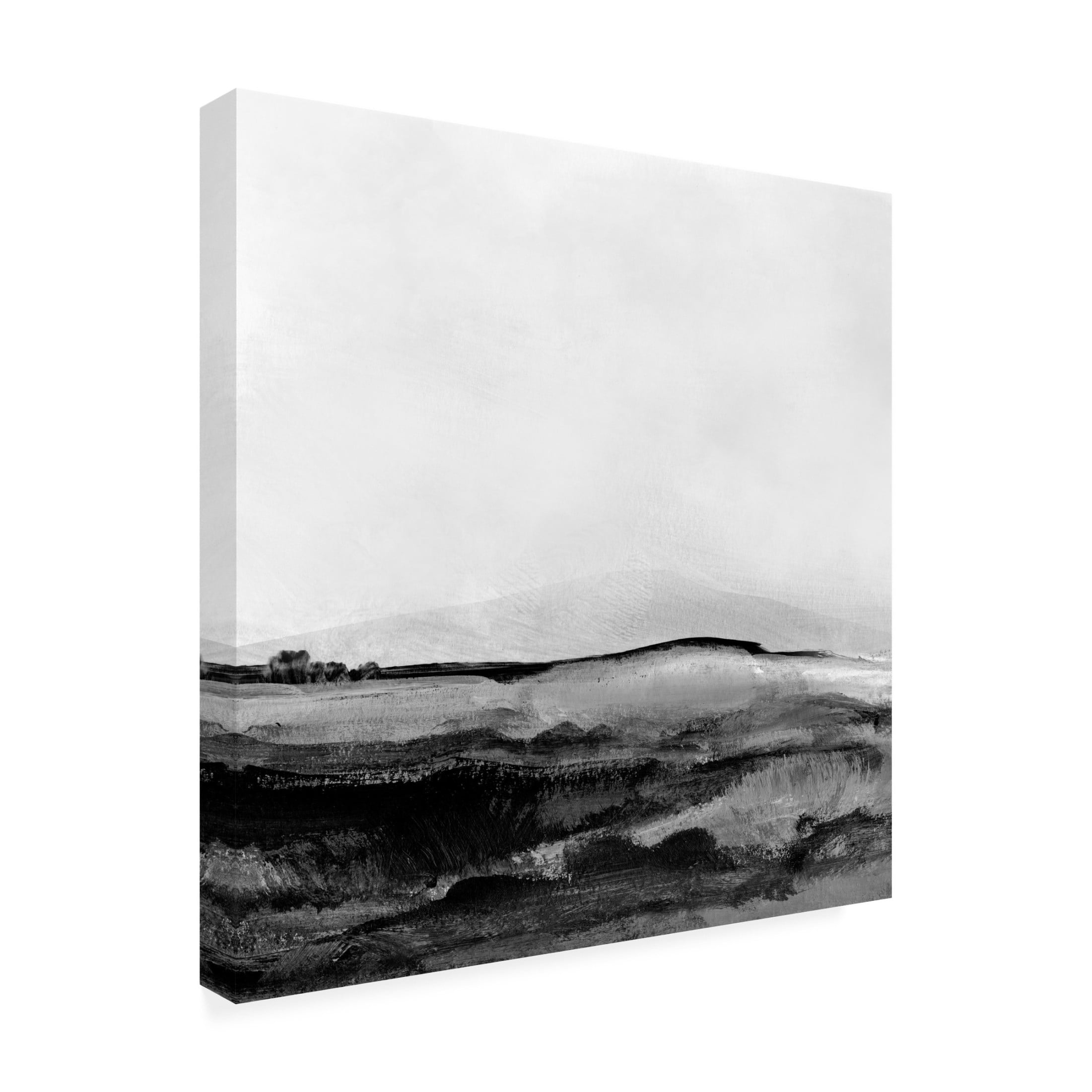 Trademark Fine Art Dan Hobday Mono Landscape No1 Canvas Wall Art