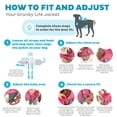 thumbnail image 3 of Outward Hound Granby Splash - Chaleco salvavidas para perro, color rosa, talla grande, 3 of 5