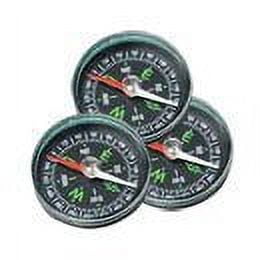 magnetic compass