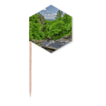 thumbnail image 1 of Stream Green Forestry Science Nature Scenery Toothpick Flags Cupcake Picks Party Celebration, 1 of 3