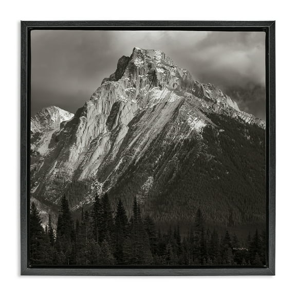 Stupell Industries Canadian Rockies View Landscape & Nature Photography Black Floater Framed Canvas Art Print Wall Art, 18 x 18