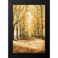 thumbnail image 2 of Nawrocke, Bruce 17x24 Black Modern Framed Museum Art Print Titled - Falls Cathedral, 2 of 5
