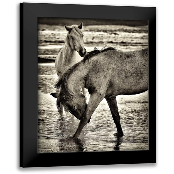 Drost, David 12x14 Black Modern Framed Museum Art Print Titled - Beach Horses I