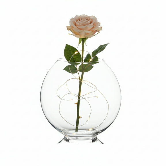 Helora Eye-Shaped Clear Glass Vase