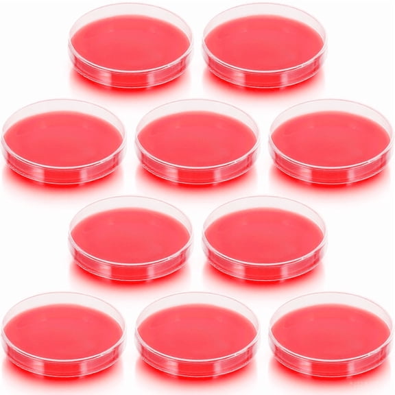 LOLIPPYY Red Agar Medium for Science Laboratory Use, Ideal for Culturing
