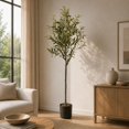 thumbnail image 1 of Blackbox Árbol de Olivo Artificial Grande 150 CM Premium con Aceitunas Decorativas, Tronco de Apariencia Natural, Decoración para Sala, Oficina y Hogar, 1 of 6