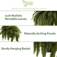 thumbnail image 2 of Nearly Natural 29in. Double Giant Boston Fern Artificial Plant in Wicker Hanging Basket, 2 of 6