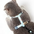 thumbnail image 5 of Touchcat 'Radi-Claw' Durable Cable Cat Harness and Leash Combo, 5 of 6